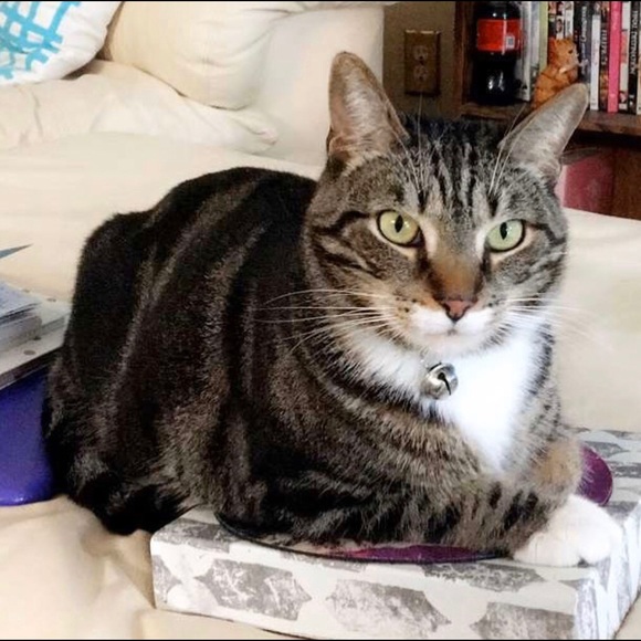 Hi, I'm Miranda! 🤗💞 - Picture 16 of 16